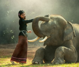 Young girl and elephant Stock Photo