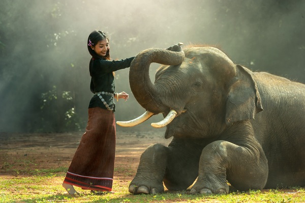 Young girl and elephant Stock Photo