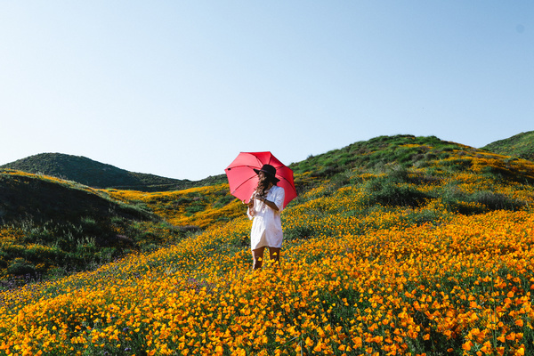 Young woman standing in bloom yellow flowers field Stock Photo