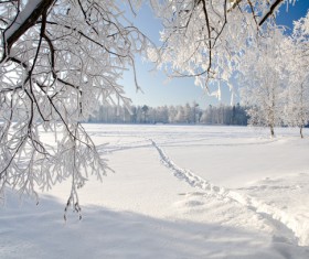 pure white snow Stock Photo 01
