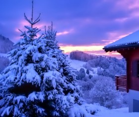 pure white snow Stock Photo 02