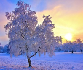 pure white snow Stock Photo 03