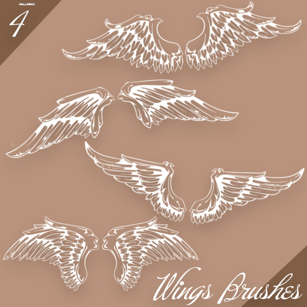 4 Kind Wings Photoshop Brushes