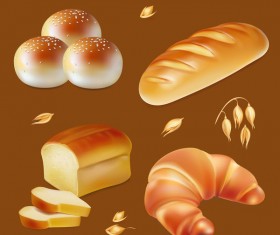 4 Kind bread illustration vector