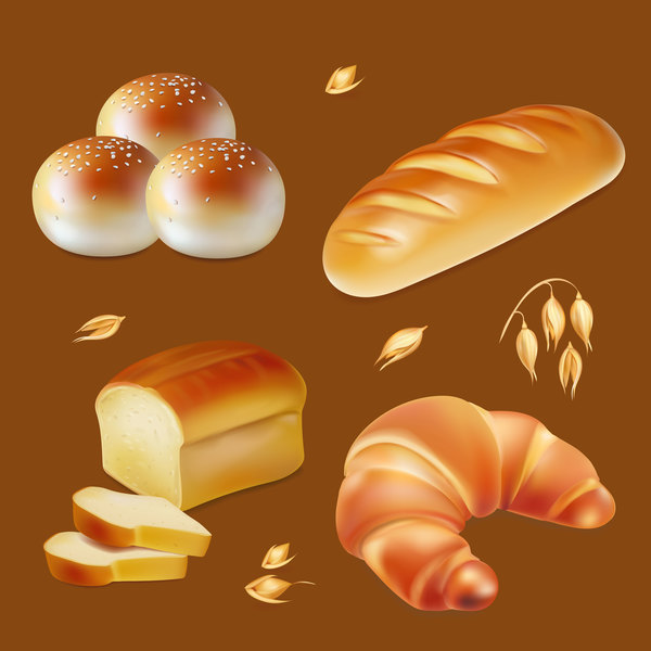 4 Kind bread illustration vector