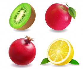 4 kind fruits illustration vector