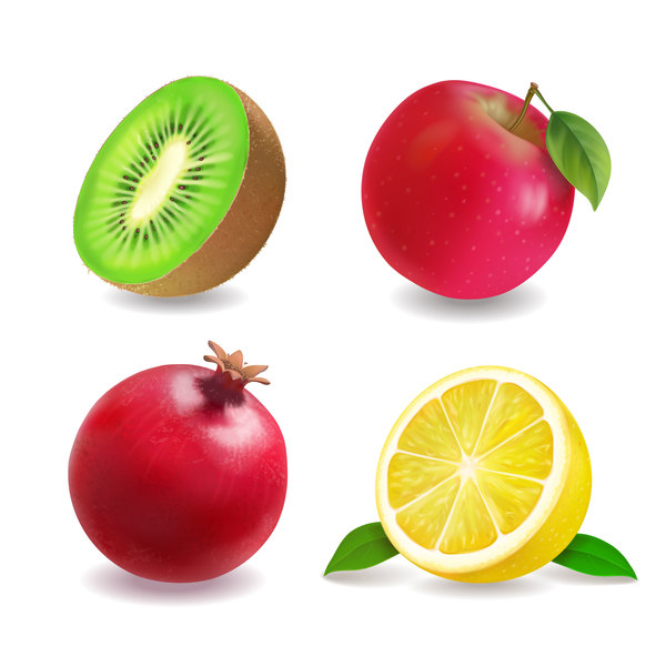 4 kind fruits illustration vector