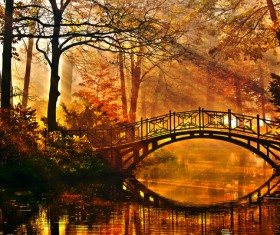 Autumn woods and across the river bridge Stock Photo