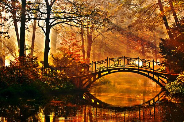 Autumn woods and across the river bridge Stock Photo