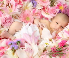 Baby lying in flowers Stock Photo 01