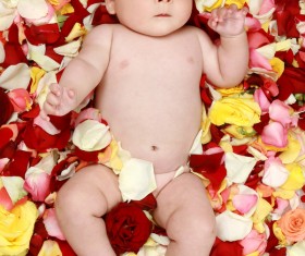Baby lying in flowers Stock Photo 02