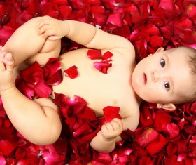 Baby lying in flowers Stock Photo 03