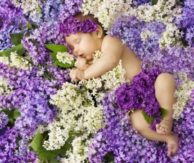 Baby lying in flowers Stock Photo 05