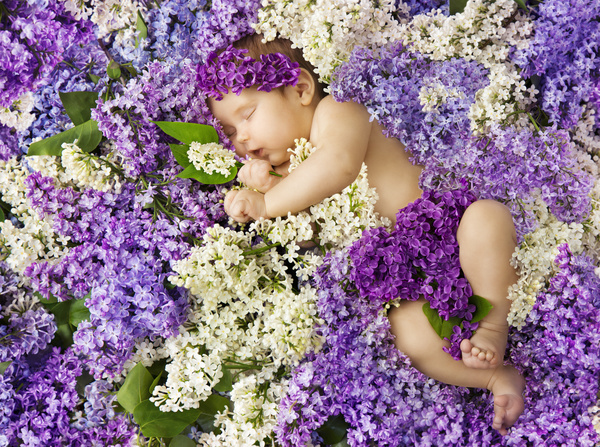 Baby lying in flowers Stock Photo 05