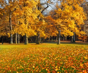 Beautiful Autumn landscape Stock Photo 01
