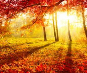 Beautiful Autumn landscape Stock Photo 02