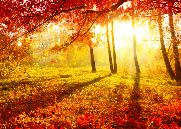 Beautiful Autumn landscape Stock Photo 02