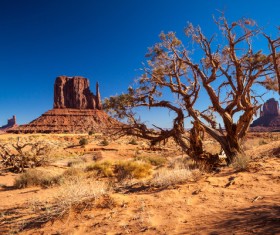 Beautiful Grand Canyon National Park landscape Stock Photo 10