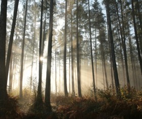 Beautiful natural landscape Stock Photo 02