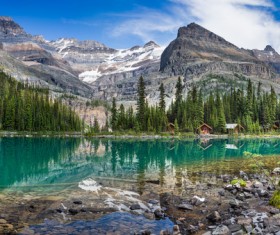 Beautiful natural scenery Stock Photo 02