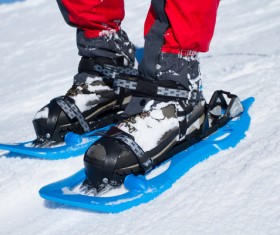 Blue Snowshoes Stock Photo