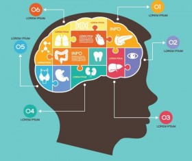 Brain infographic template vector 01