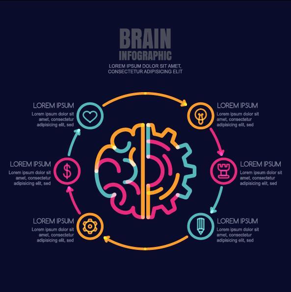 Brain infographic template vector 03