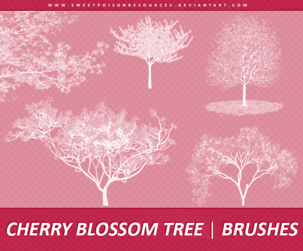 Cherry Blossom Tree Photoshop Brushes