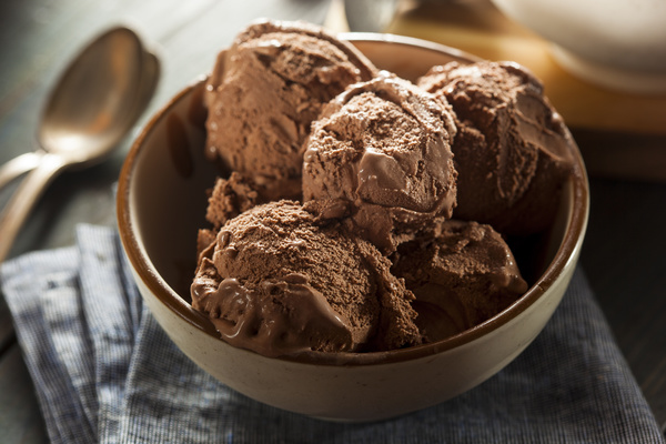 Chocolate ice cream dessert Stock Photo 08