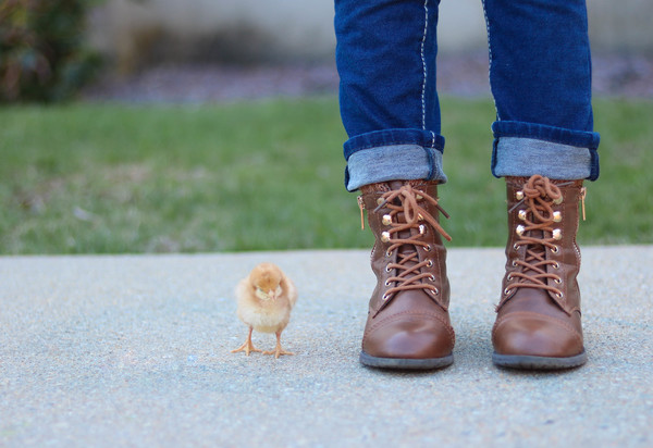 Cute little chick and owner Stock Photo