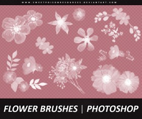 Different Flower Photoshop Brushes