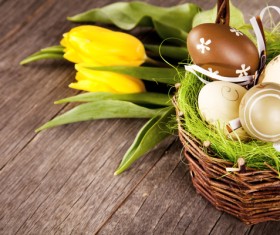 The flowers in the basket Stock Photo free download