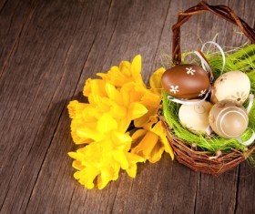 The flowers in the basket Stock Photo free download