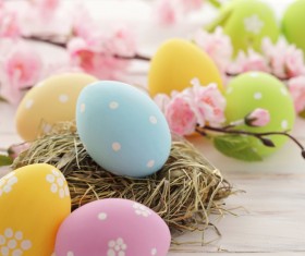 Easter eggs and flowers on the desktop Stock Photo 02