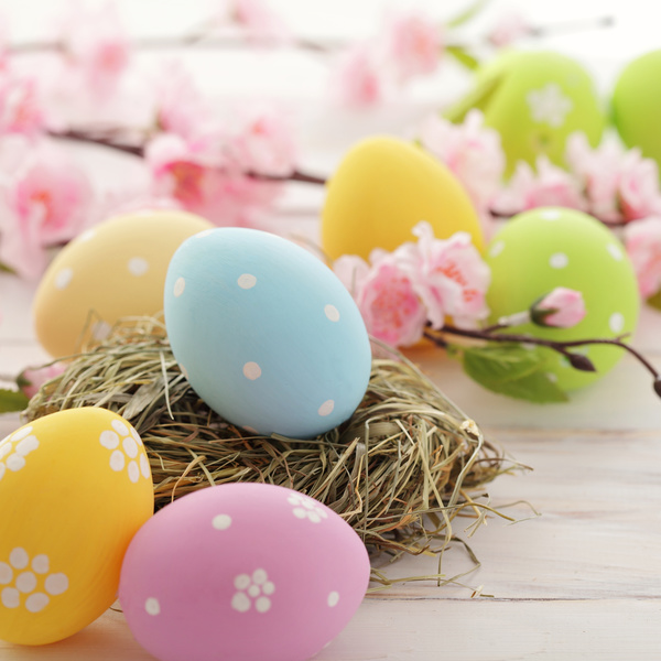 Easter eggs and flowers on the desktop Stock Photo 02