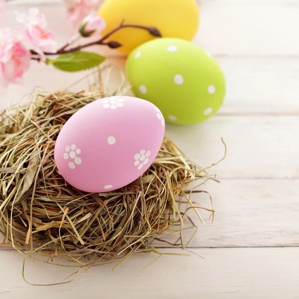 Easter eggs and flowers on the desktop Stock Photo 05