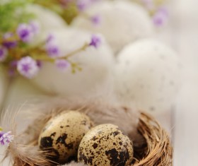 Easter eggs and flowers on the desktop Stock Photo 08