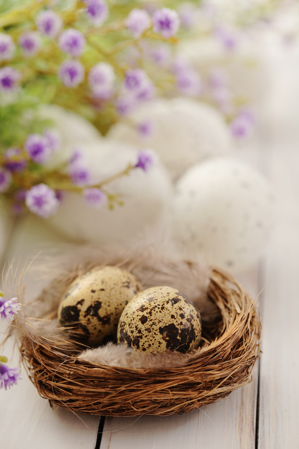 Easter eggs and flowers on the desktop Stock Photo 08