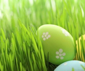 Easter eggs in the grass Stock Photo