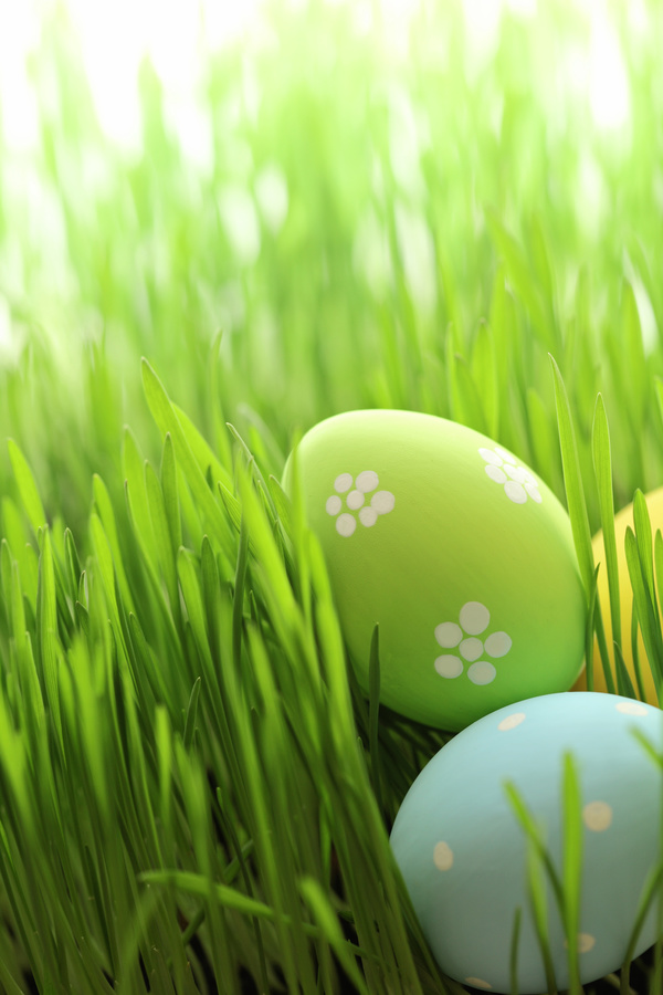 Easter eggs in the grass Stock Photo