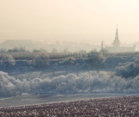 Empty countryside landscape in fog Stock Photo