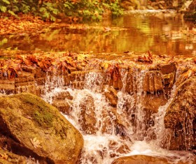 Fallen leaves in the river Stock Photo