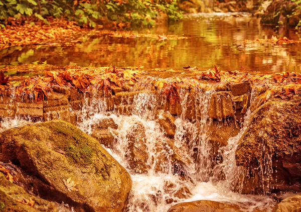 Fallen leaves in the river Stock Photo