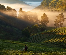 Farm in the mountains Stock Photo 02