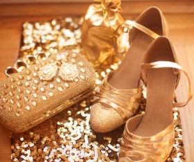 Fashion luxury ladies accessories and shoes Stock Photo 01