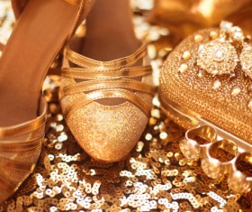 Fashion luxury ladies accessories and shoes Stock Photo 02