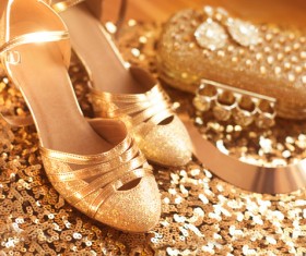 Fashion luxury ladies accessories and shoes Stock Photo 07
