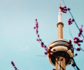 Flowers and high tower architecture background Stock Photo