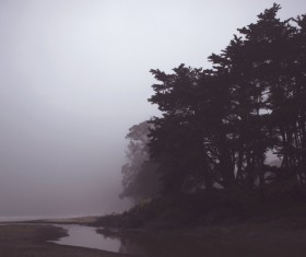 Foggy wild natural scene at dusk Stock Photo