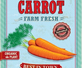 Fresh carrot poster vector
